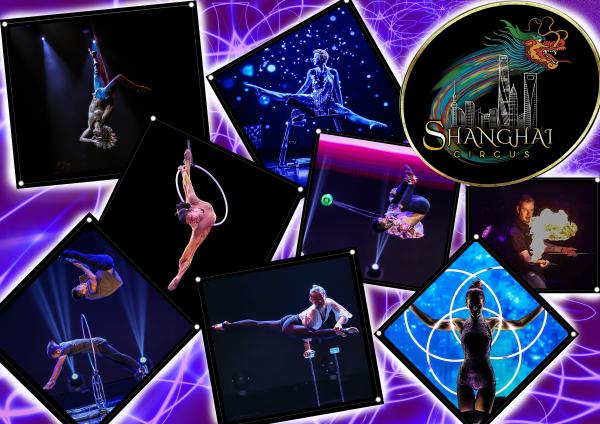Amazing Acrobats - Shanghai Circus